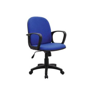 Piyestra Executive Chair - Low Back - ECL 01